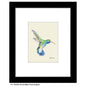Broad-Billed Hummingbird, Print (#8225B)