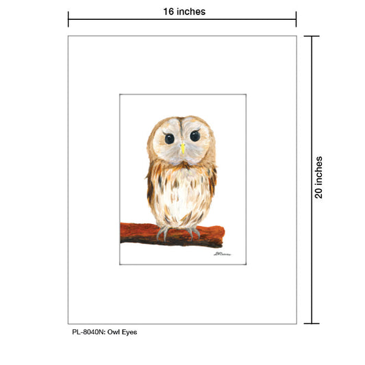 Owl Eyes, Print (#8040N)