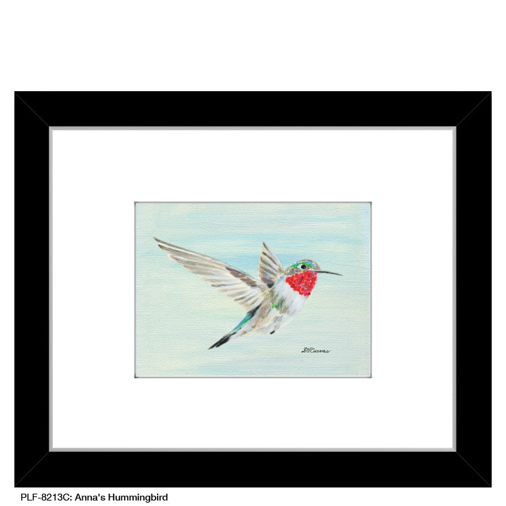 Anna's Hummingbird, Print (#8213C)