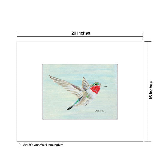 Anna's Hummingbird, Print (#8213C)