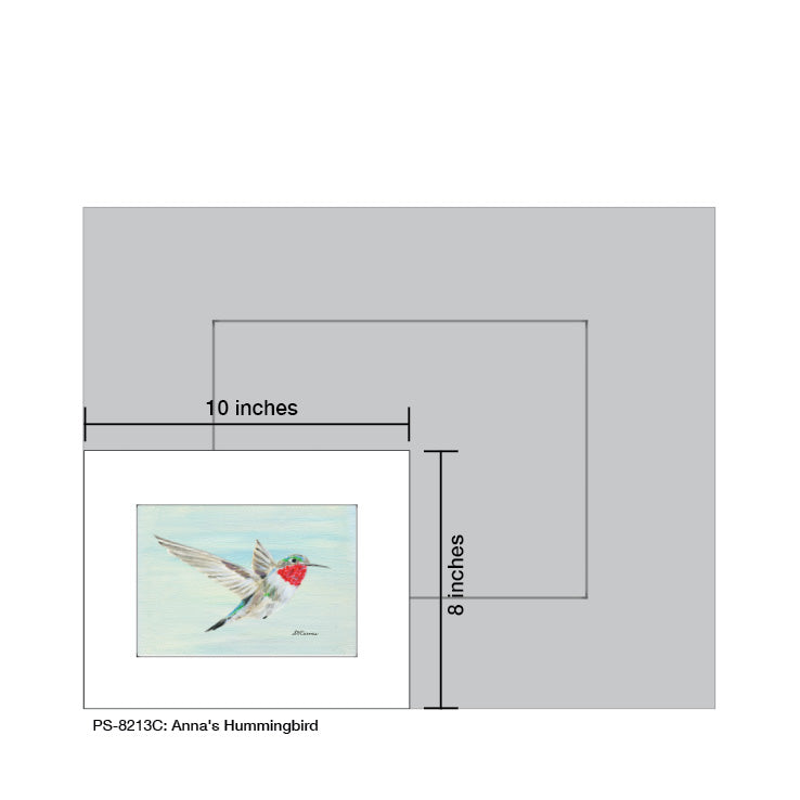 Anna's Hummingbird, Print (#8213C)