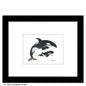 Orca Mother & Baby, Print (#8385B)