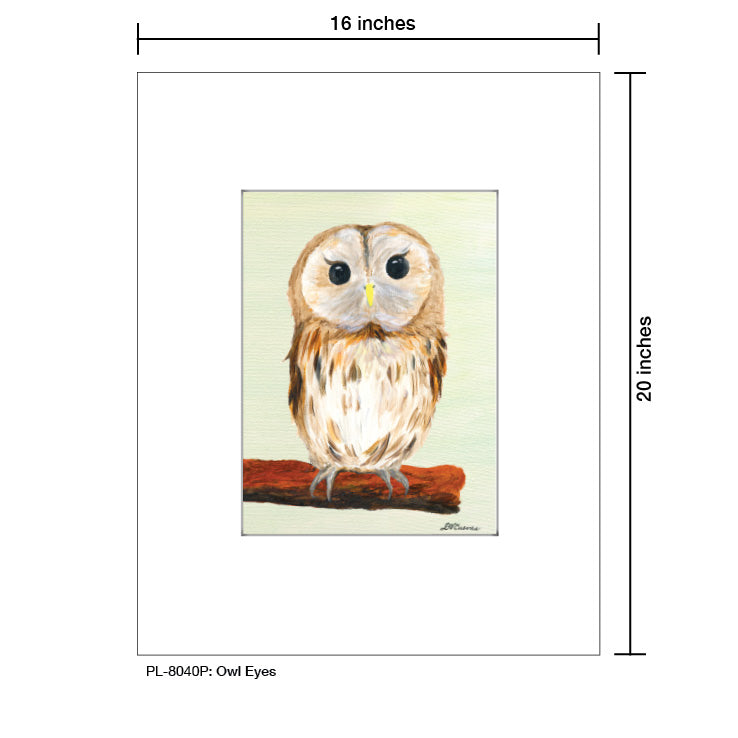 Owl Eyes, Print (#8040P)