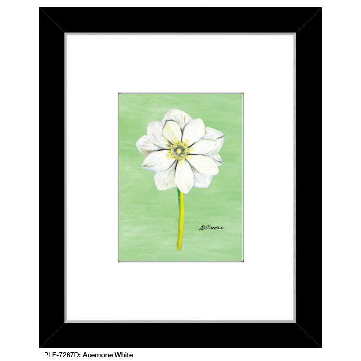 Anemone White, Print (#7267D)