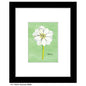 Anemone White, Print (#7267D)