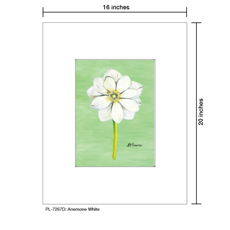 Anemone White, Print (#7267D)