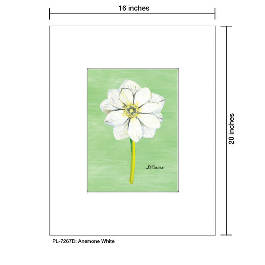 Anemone White, Print (#7267D)
