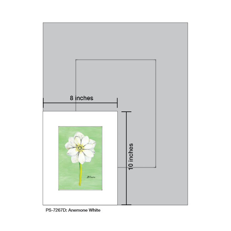 Anemone White, Print (#7267D)