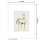 Race Horse, Print (#8731A)