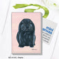 Charlie, Mini Canvas (MC-8134C)