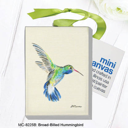 Broad-Billed Hummingbird, Mini Canvas (MC-8225B)