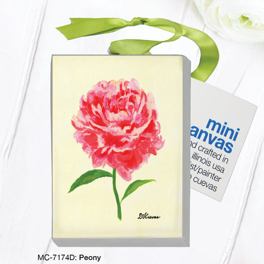Peony, Mini Canvas (MC-7174D)