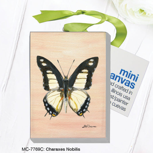 Charaxes Nobilis, Mini Canvas (MC-7769C)