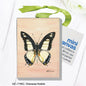 Charaxes Nobilis, Mini Canvas (MC-7769C)