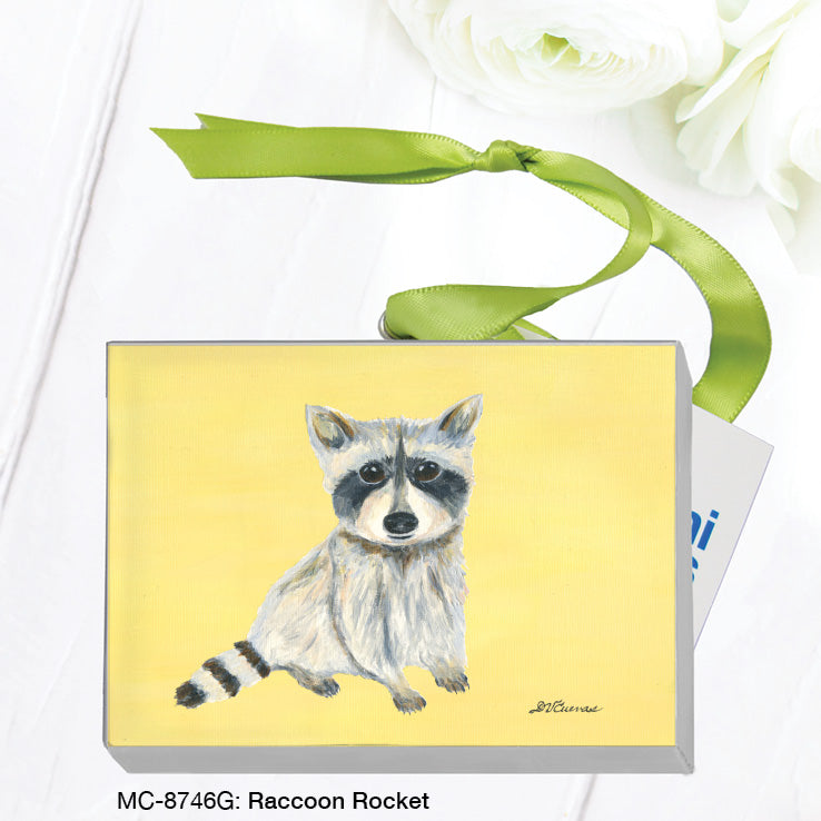 Raccoon Rocket, Mini Canvas (MC-8746G)