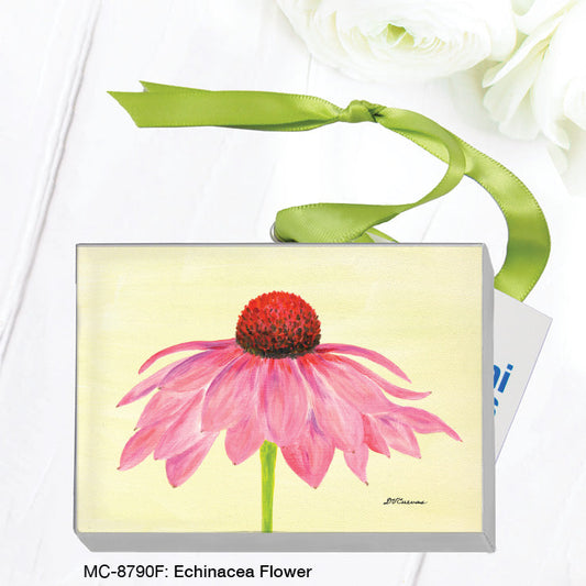 Echinacea Flower, Mini Canvas (MC-8790F)