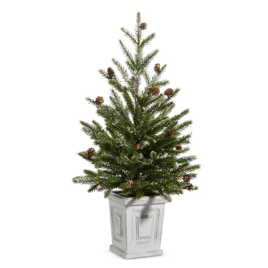 26" Pine Tree in White Container