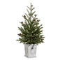 26" Pine Tree in White Container