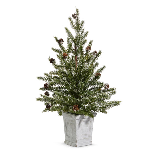 22" Pine Tree in White Container