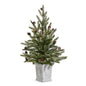 22" Pine Tree in White Container