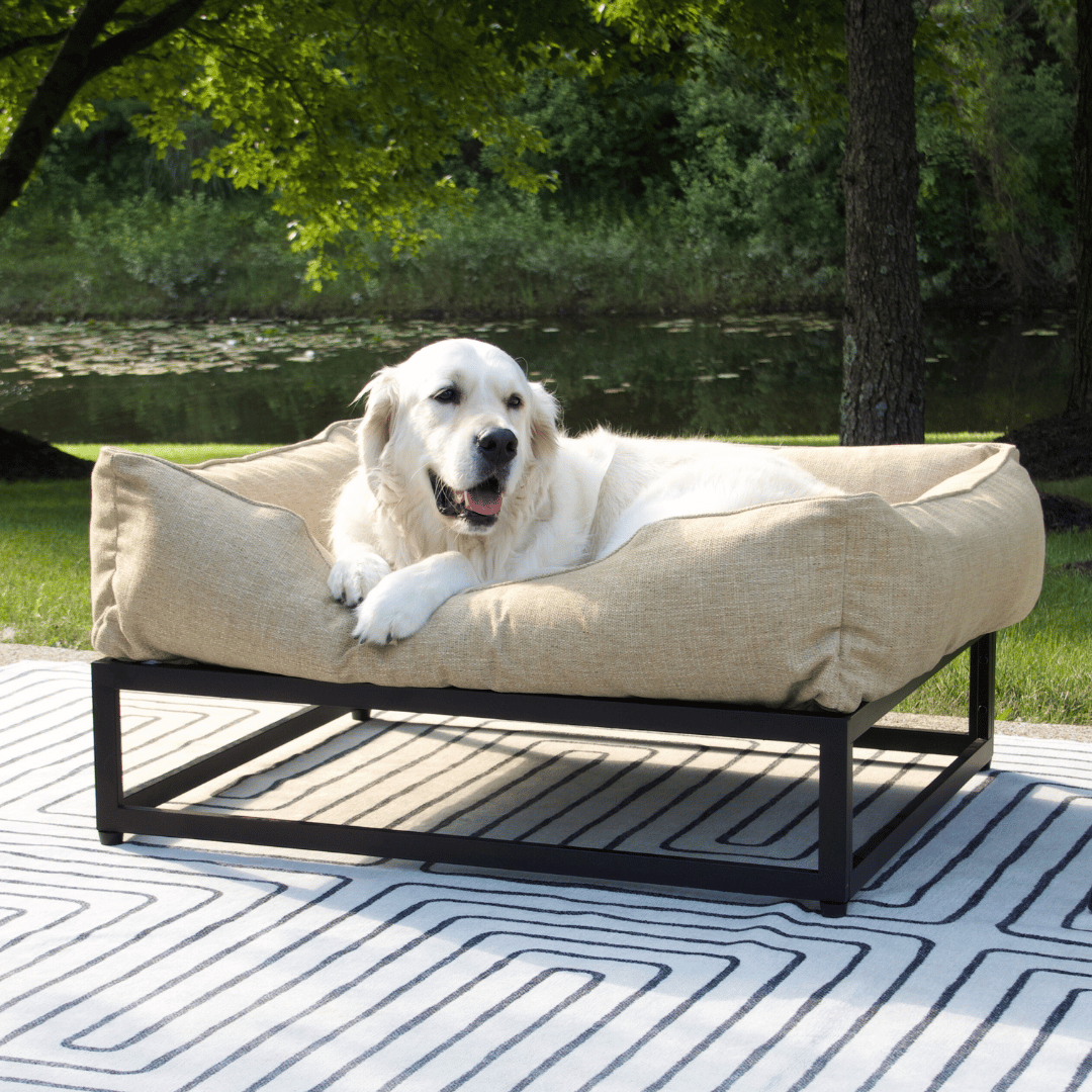 The FÜZI Dog Bed