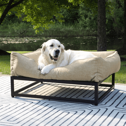 The FÜZI Dog Bed
