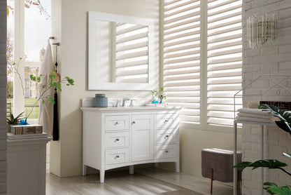 Palisades 48" Single Vanity Cabinet, Bright  White