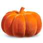 Halloween Carnival - 12" FLOCKED PUMPKIN