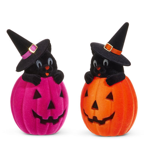 Halloween Carnival - 10" FLOCKED CAT IN JACK-O-LANTERN - SET OF 2