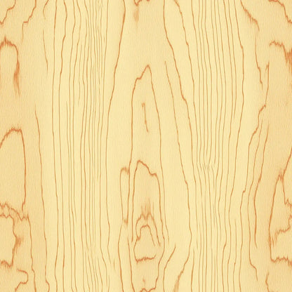 Sun-Drenched Aspen Grove