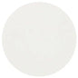 DSC Pre-Rinsed and Ignited Glass Microfiber Filter Papers Grade 934-AH, 47 mm, 100/pk (4827-047W)