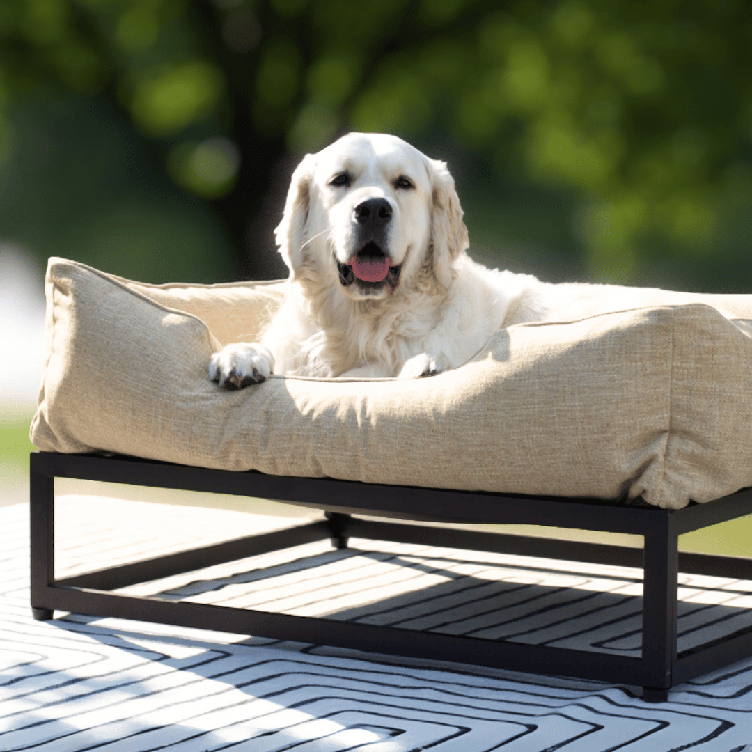 The FÜZI Dog Bed
