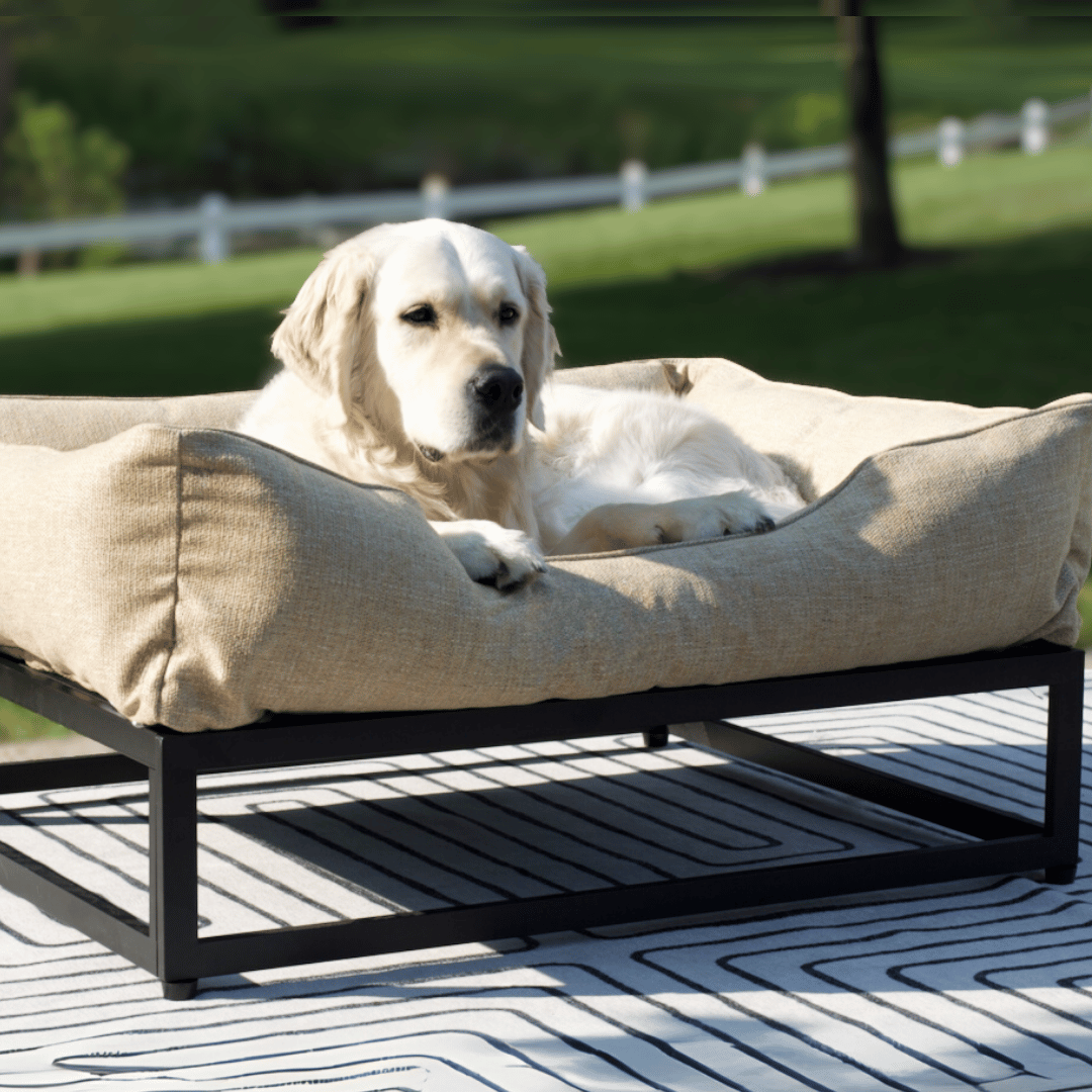 The FÜZI Dog Bed
