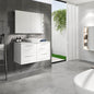 Eviva Lazy Mirror Medicine Cabinet with No Light