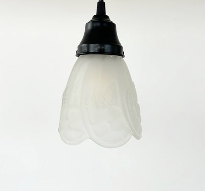 Frosted Embossed Fruit and Leaf Sconce or Pendant