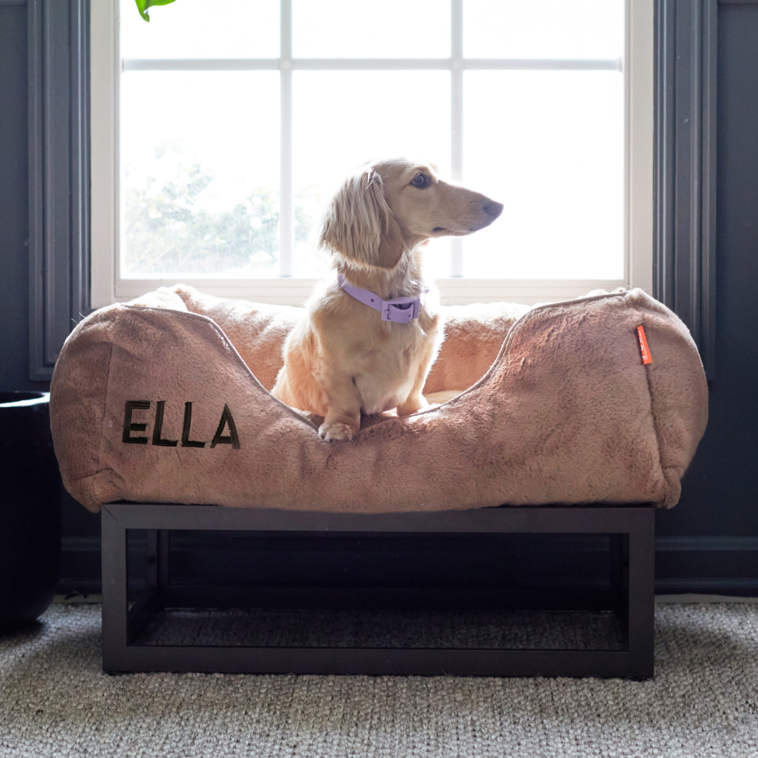 The FÜZI Dog Bed