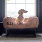 The FÜZI Dog Bed