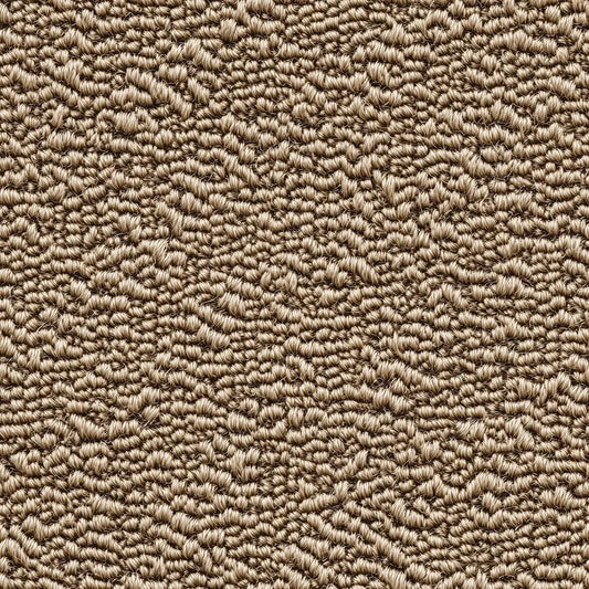 Coastal Dunes Woven Texture