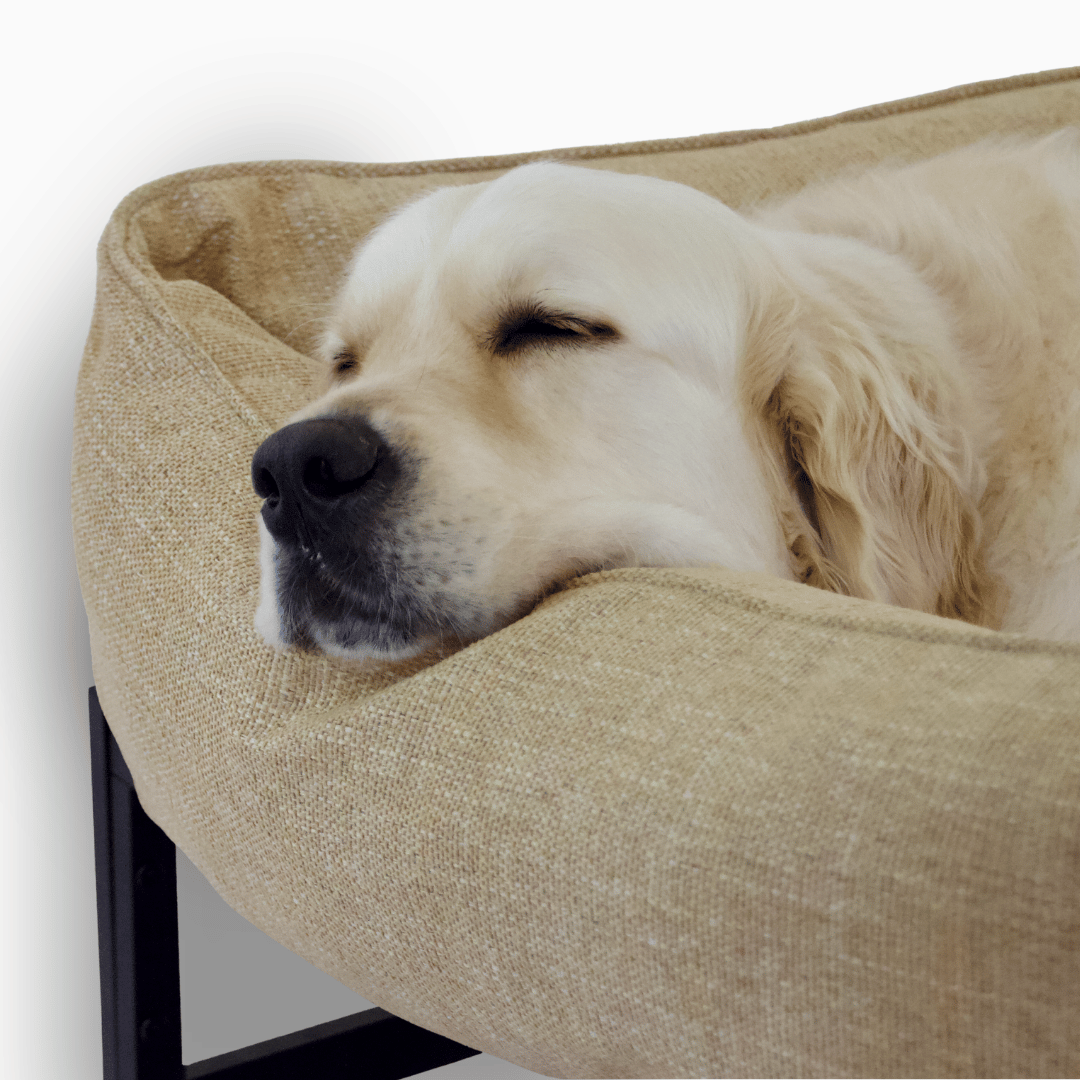 The FÜZI Dog Bed