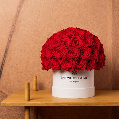 Classic White Superdome Box | Red Roses