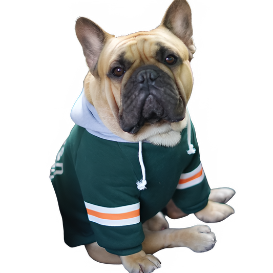 [MPK Dog Wear] Grandy Hoodies for Small Dogs, Cute French Bulldog Hooded Sweatshirt, Cool T-Shirt for Frenchie
