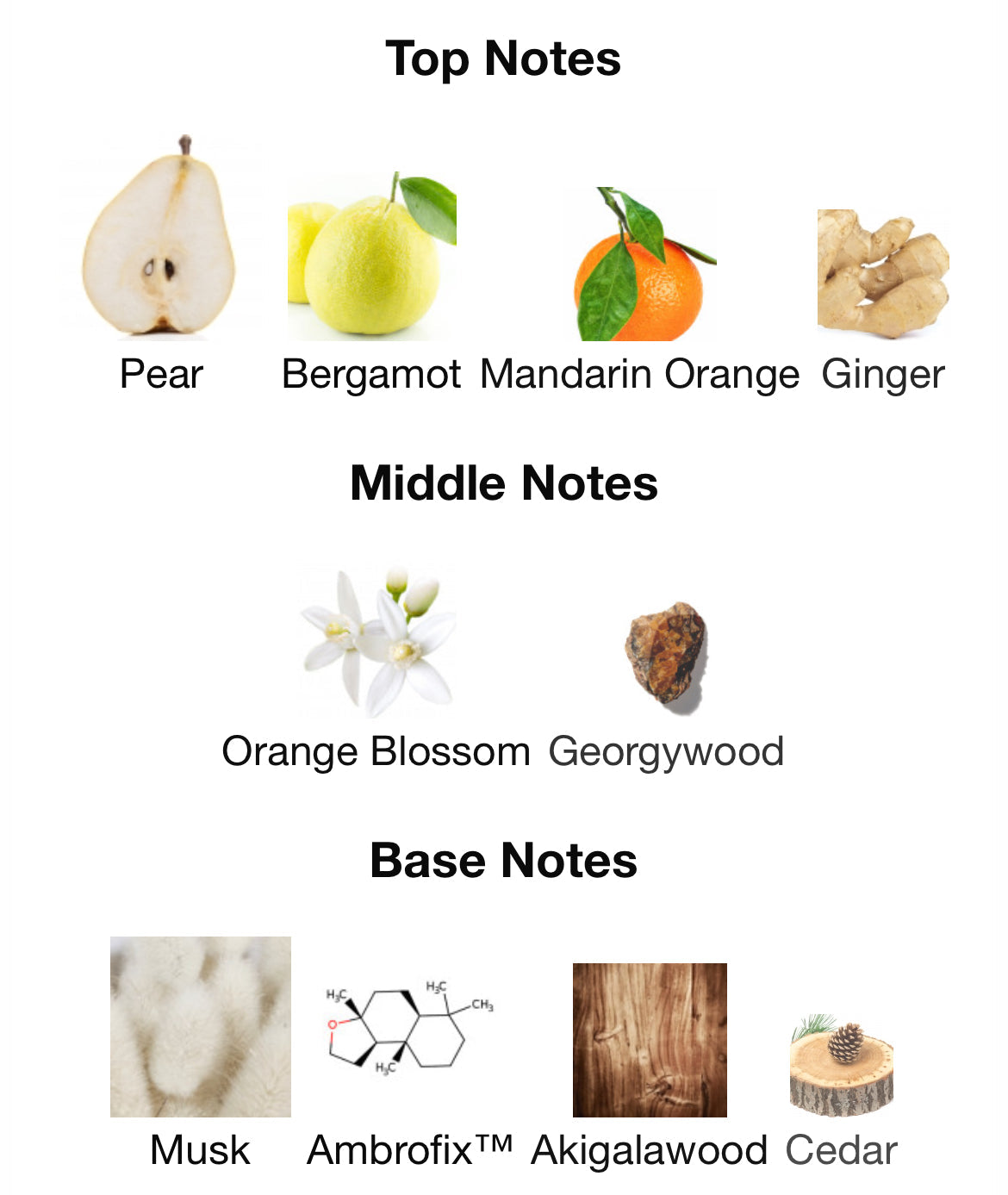Chart of top, middle, and base notes with corresponding images and names.