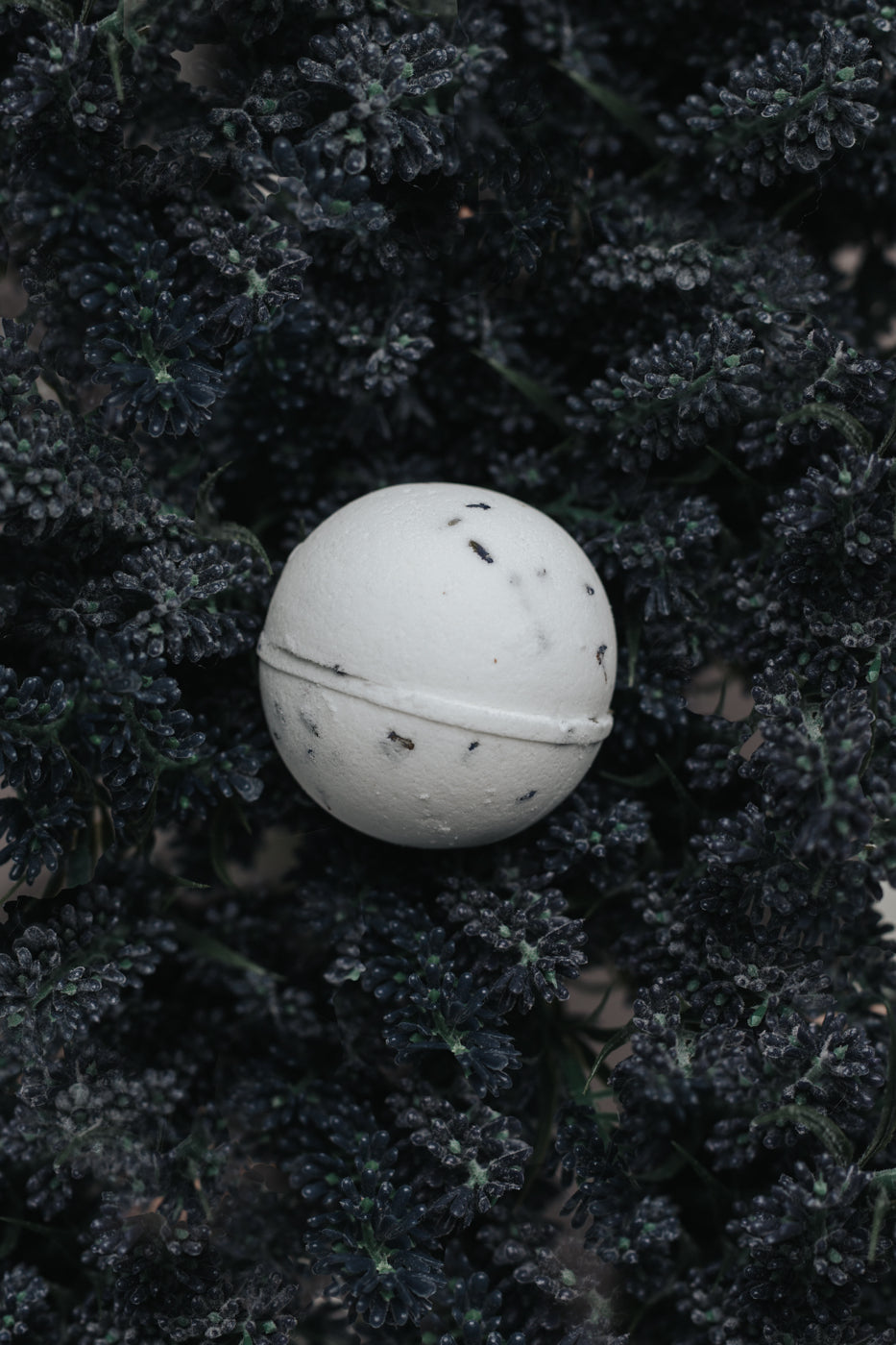 Flower Market | Lavender