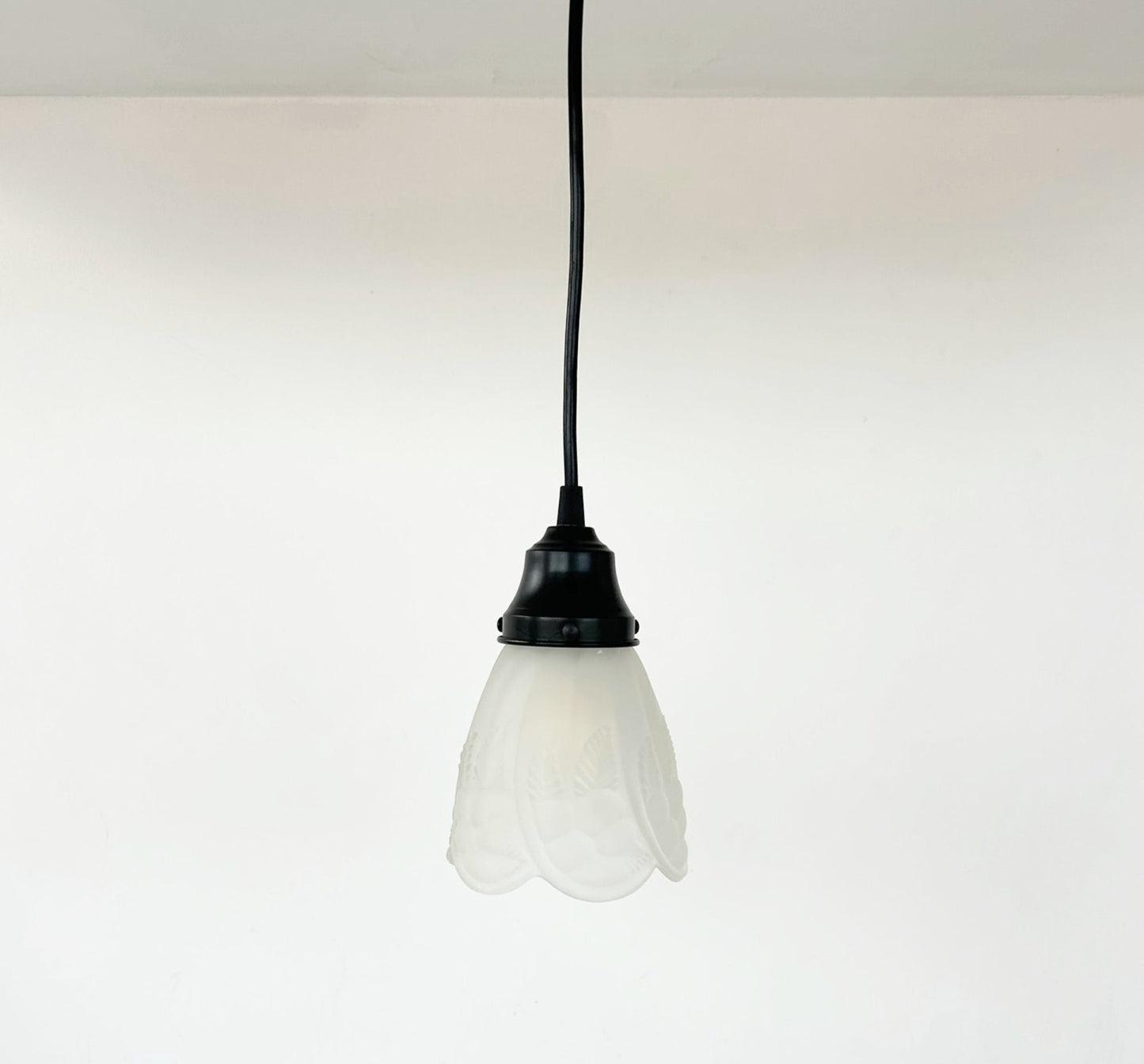 Frosted Embossed Fruit and Leaf Sconce or Pendant