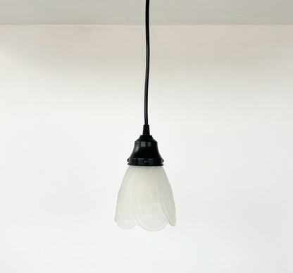 Frosted Embossed Fruit and Leaf Sconce or Pendant