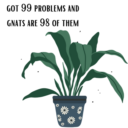 Gnat Problem Plant Sticker