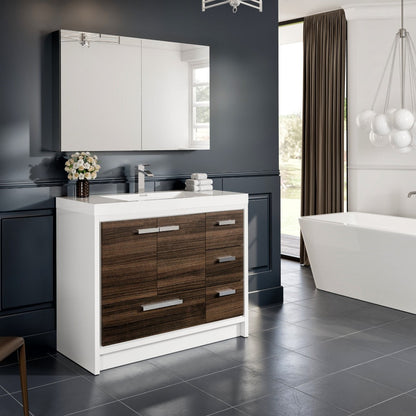 Eviva Lazy Mirror Medicine Cabinet with No Light