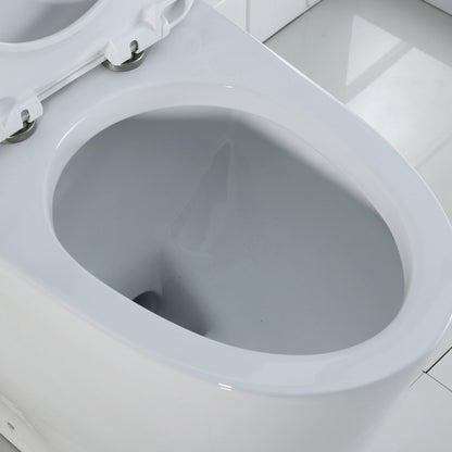WOODBRIDGE One Piece Dual Flush 1.0/1.6 Gpf,with Soft Closing Seat, White, Elongated Toilet, Convenient 20" Seating Height
