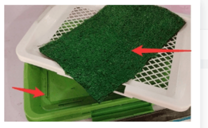 Ultimate Clean Paws Pet Toilet: The Hassle-Free Solution For A