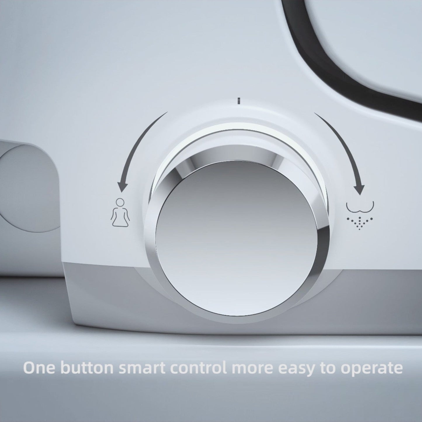 WOODBRIDGE Elongated Smart Bidet Toilet Seat, Electronic Advanced Self Cleaning, SoftClose Lid, Automatic Deodorization